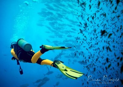 Diving Sharm - Brendan Bromfield Photography