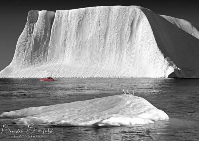 Greenland - Brendan Bromfield Photography