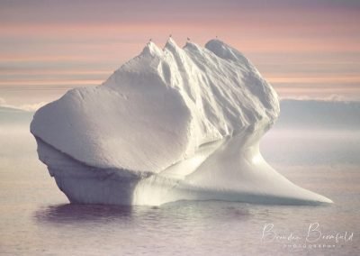 Greenland Icebergs - Brendan Bromfield Photography
